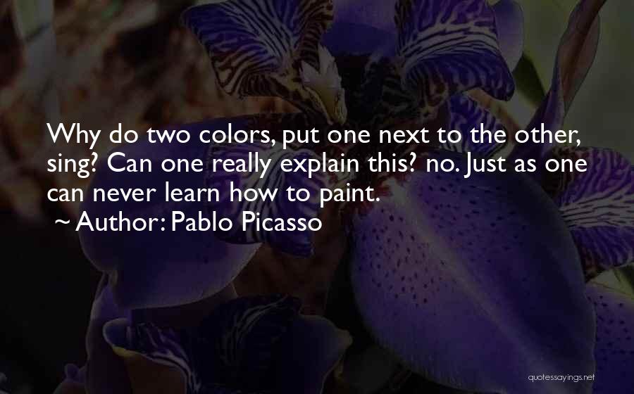 Alerta Roja Quotes By Pablo Picasso