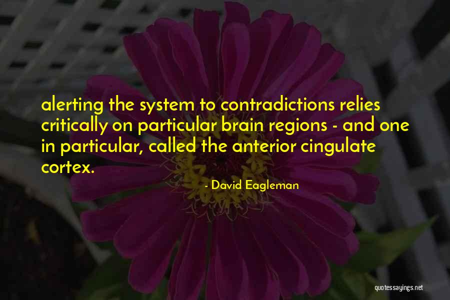 Alerting Quotes By David Eagleman Alerting Quotes By David Eagleman