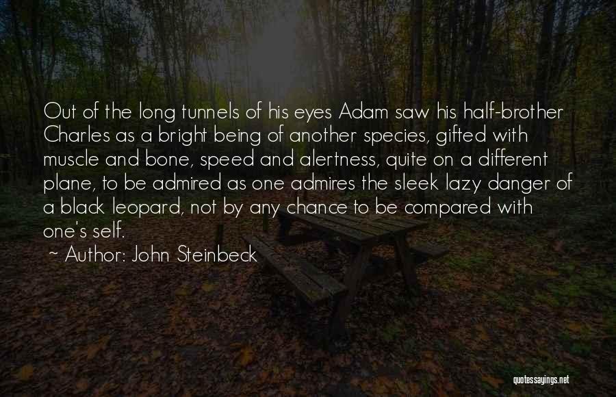 Alertness Quotes By John Steinbeck