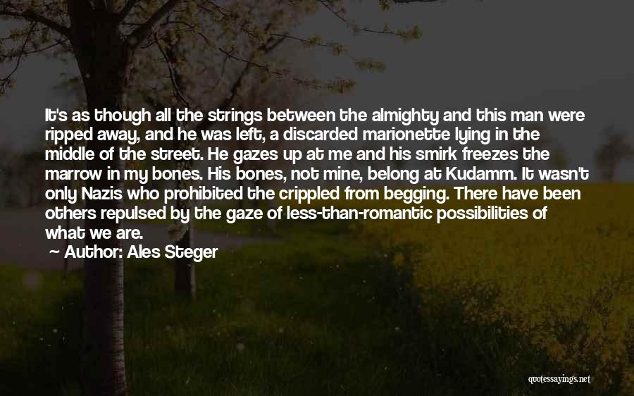 Ales Steger Quotes 467743