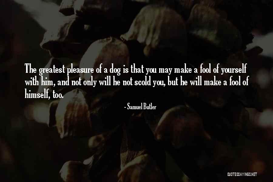 Alessi Quotes By Samuel Butler Alessi Quotes By Samuel Butler