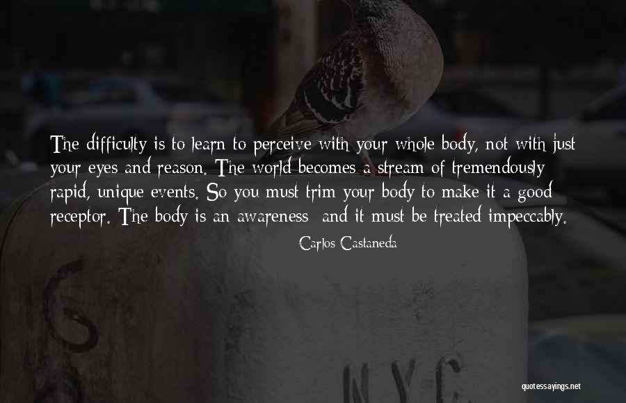 Alex And Ani Quotes By Carlos Castaneda