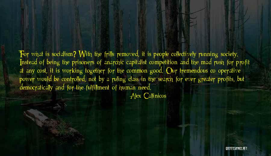 Alex Callinicos Quotes 1439462 Alex Callinicos Quotes 1439462