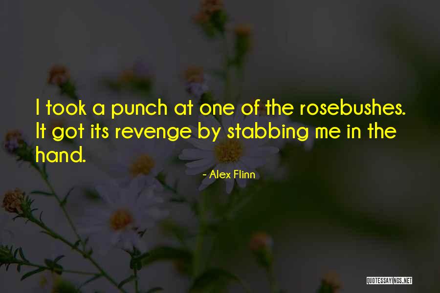 Alex Flinn Quotes 1508743