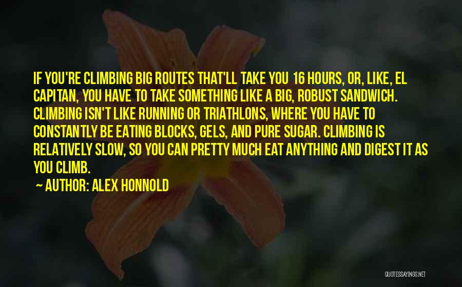 Alex Honnold Quotes 1872059