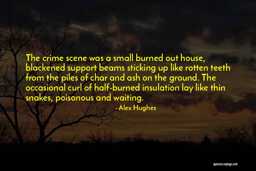 Alex Hughes Quotes 382901