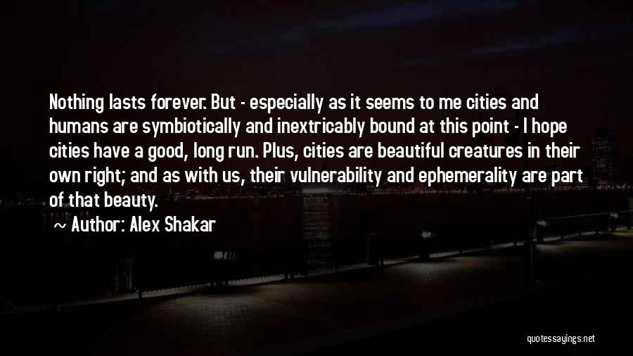 Alex Shakar Quotes 265359