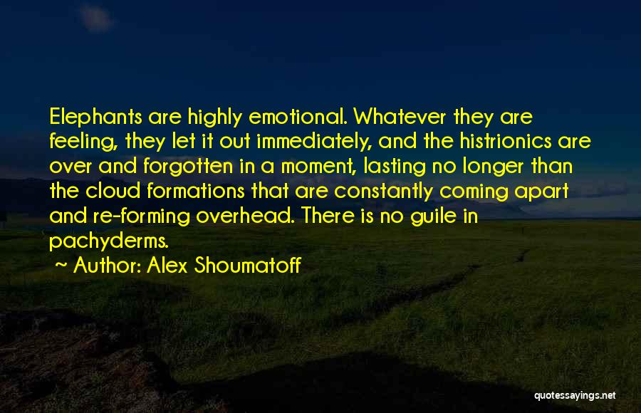 Alex Shoumatoff Quotes 1391992