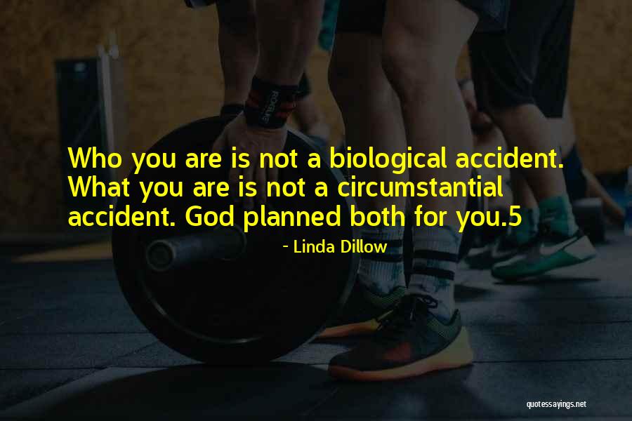 Alex Stamos Quotes By Linda Dillow Alex Stamos Quotes By Linda Dillow