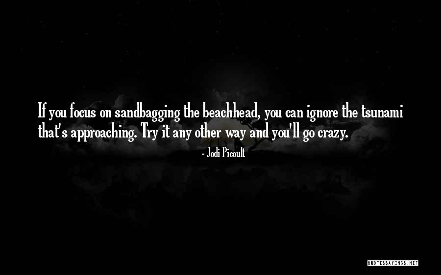 Alex Toussaint Peloton Quotes By Jodi Picoult Alex Toussaint Peloton Quotes By Jodi Picoult