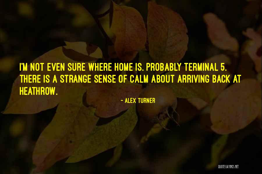 Alex Turner Quotes 1663365 Alex Turner Quotes 1663365