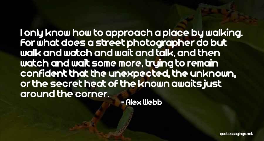 Alex Webb Quotes 153307