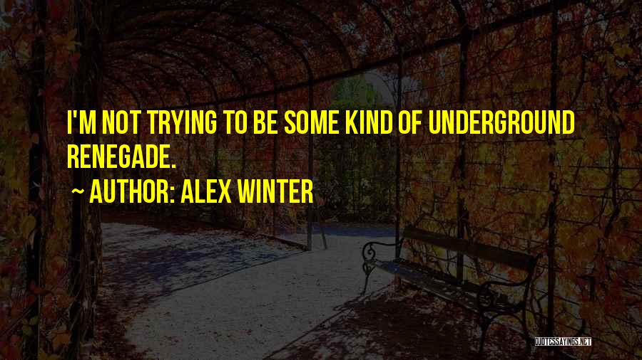 Alex Winter Quotes 330327