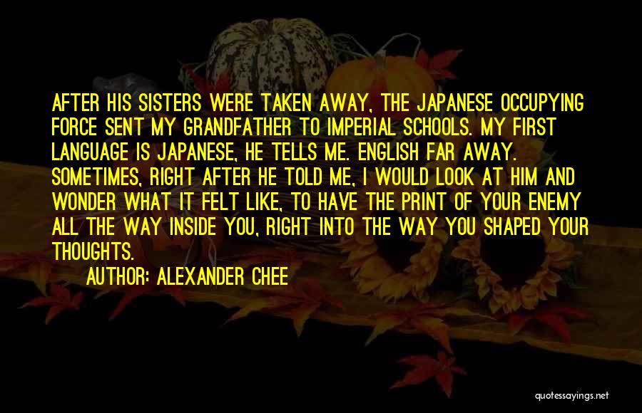 Alexander Chee Quotes 1303780