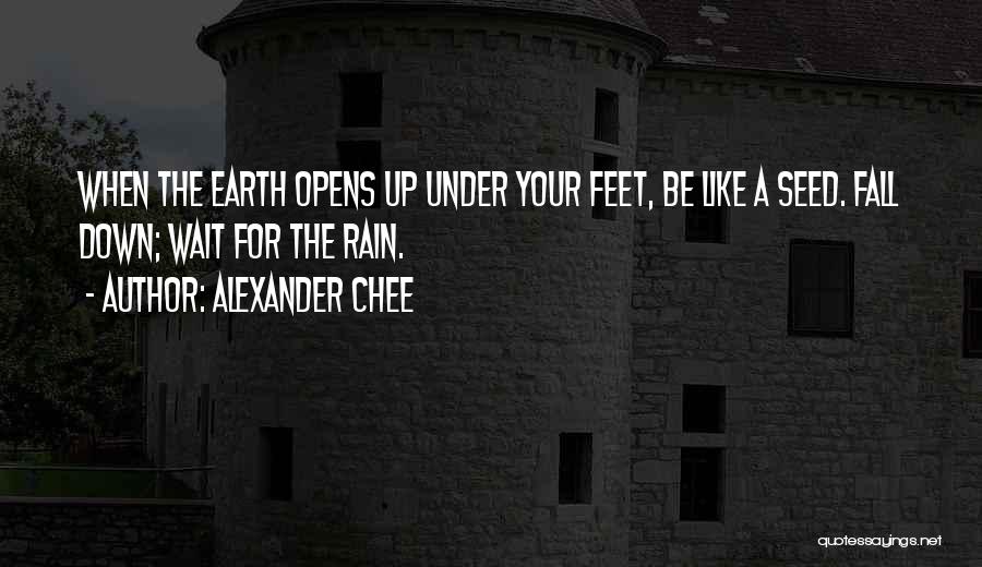 Alexander Chee Quotes 1527425