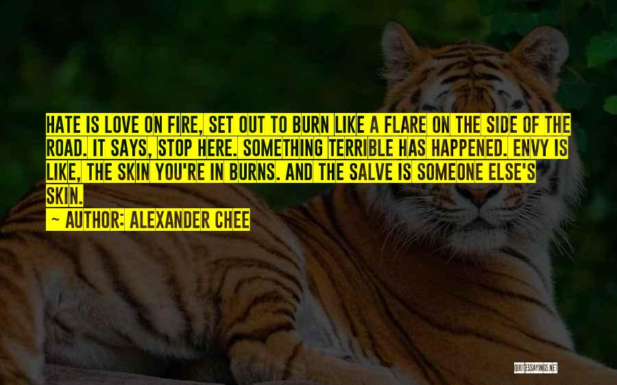 Alexander Chee Quotes 416462