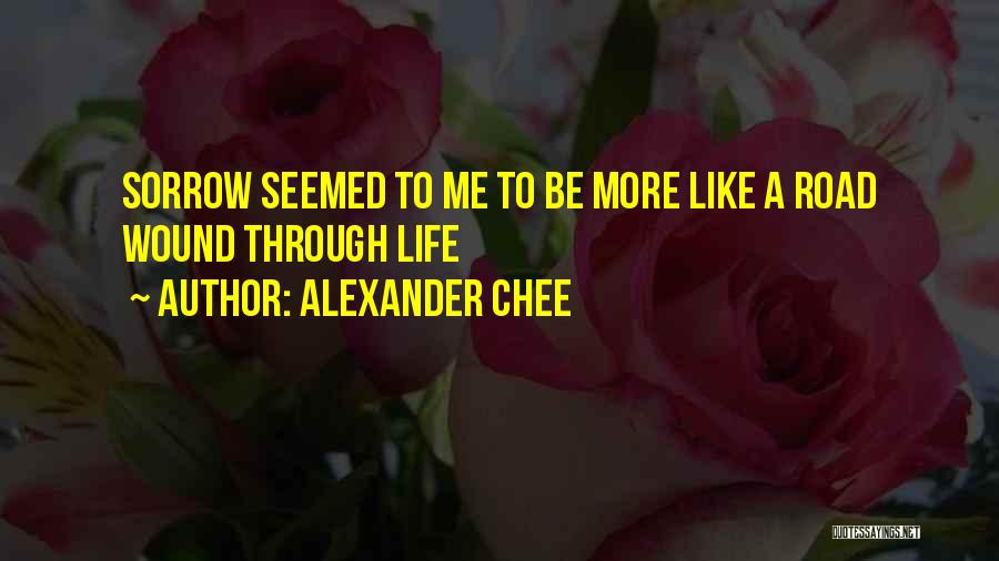 Alexander Chee Quotes 873992