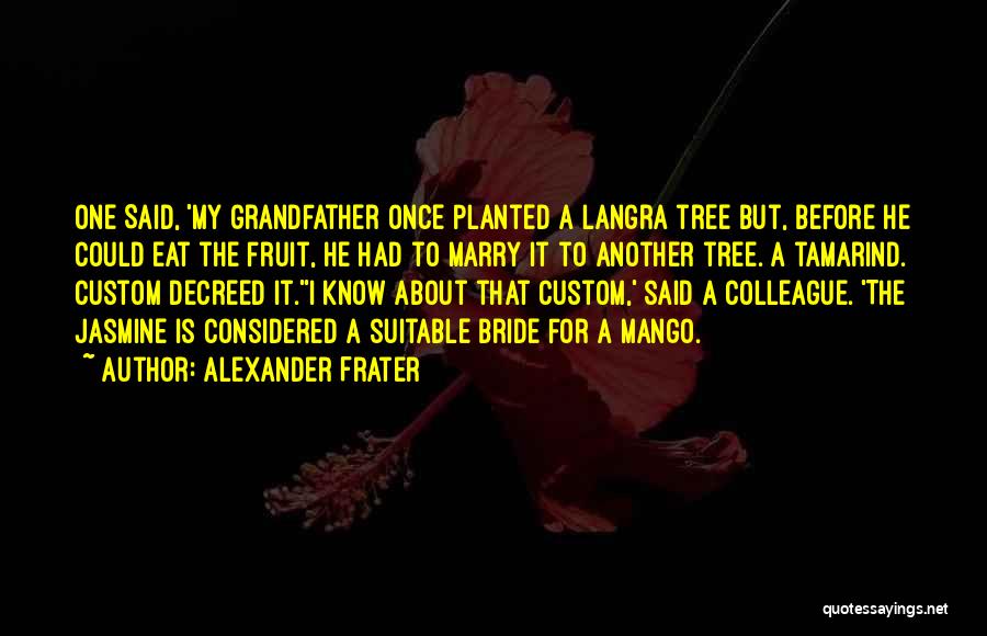 Alexander Frater Quotes 1602658