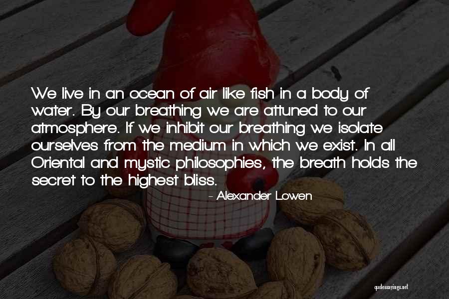 Alexander Lowen Quotes 1563345