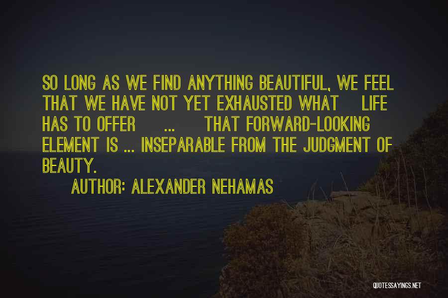 Alexander Nehamas Quotes 478417