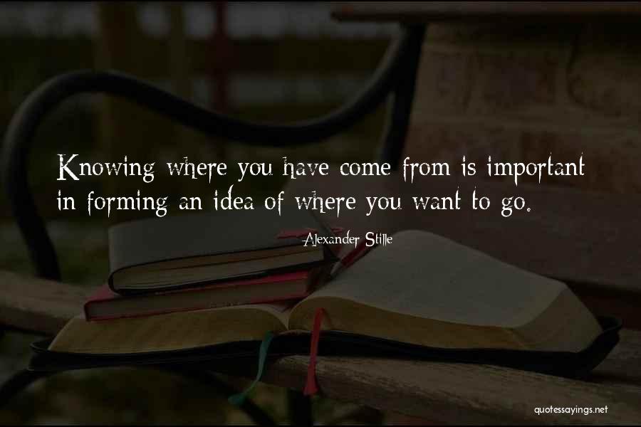 Alexander Stille Quotes 1676500 Alexander Stille Quotes 1676500