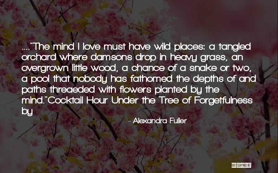 Alexandra Fuller Quotes 1996199 Alexandra Fuller Quotes 1996199