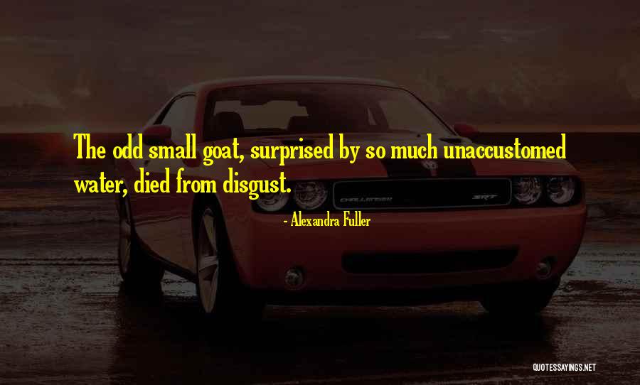 Alexandra Fuller Quotes 746552