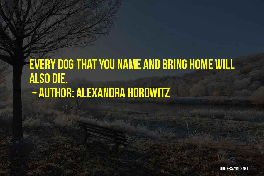 Alexandra Horowitz Quotes 1239477