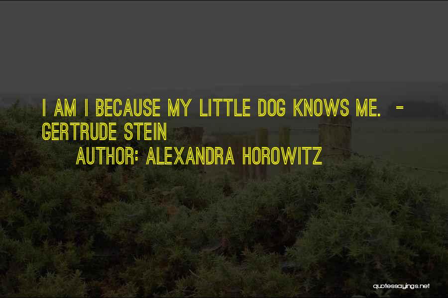 Alexandra Horowitz Quotes 1494571