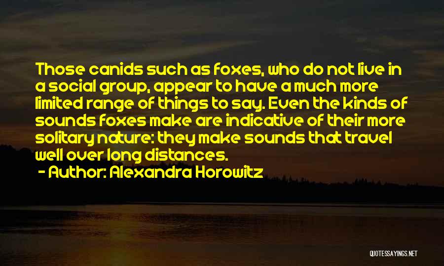 Alexandra Horowitz Quotes 2151687