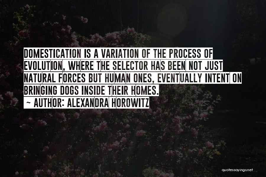 Alexandra Horowitz Quotes 332746