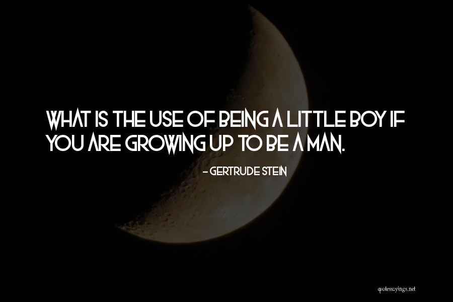 Alexandretta Peninsula Quotes By Gertrude Stein Alexandretta Peninsula Quotes By Gertrude Stein