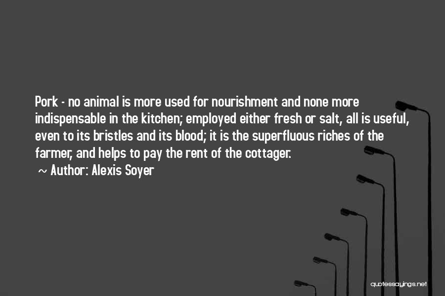 Alexis Soyer Quotes 2108837