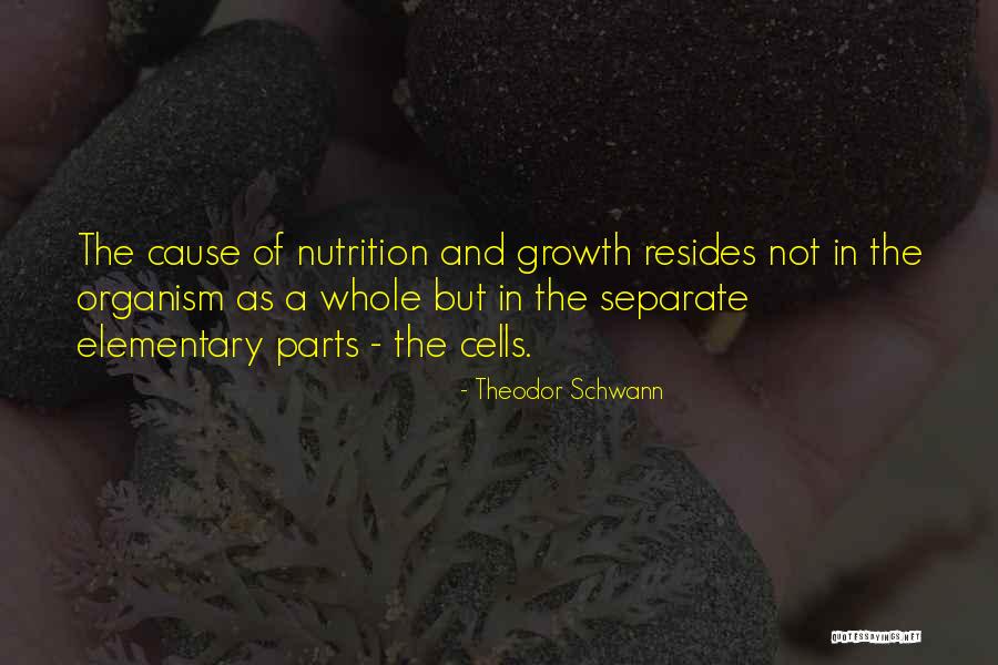 Alexus Winston Quotes By Theodor Schwann Alexus Winston Quotes By Theodor Schwann