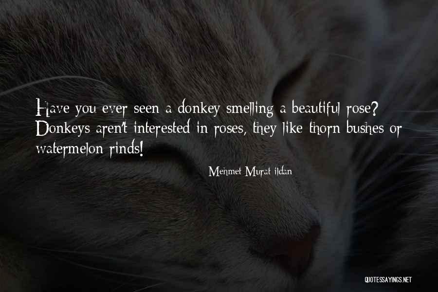 Alexya Salvador Quotes By Mehmet Murat Ildan Alexya Salvador Quotes By Mehmet Murat Ildan