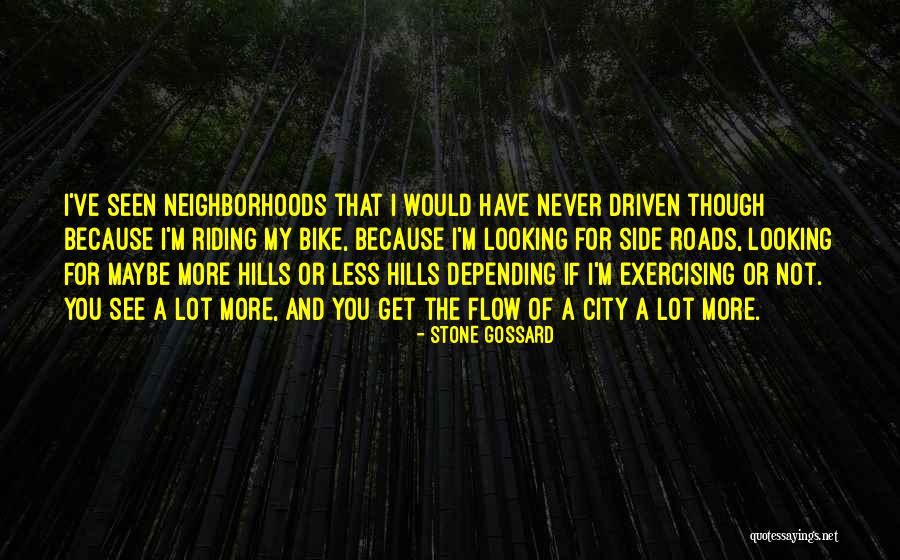 Aleyamma Mathews Quotes By Stone Gossard Aleyamma Mathews Quotes By Stone Gossard