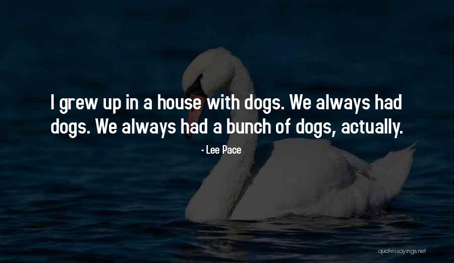 Alfaiate Recurvirostra Quotes By Lee Pace Alfaiate Recurvirostra Quotes By Lee Pace