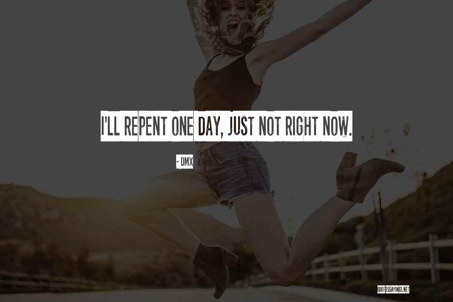 Alfie Nikki Quotes By DMX Alfie Nikki Quotes By DMX