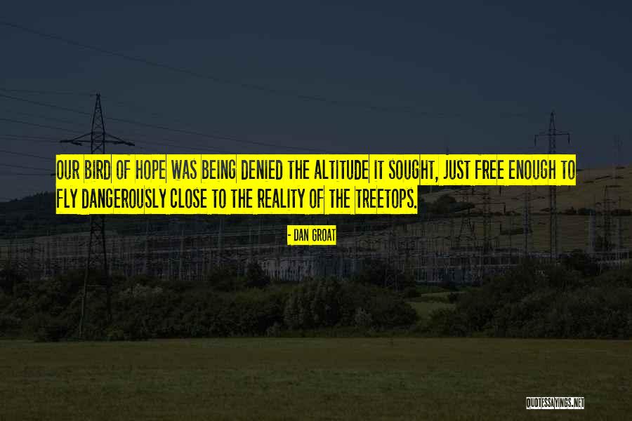 Alfine 11 Quotes By Dan Groat Alfine 11 Quotes By Dan Groat