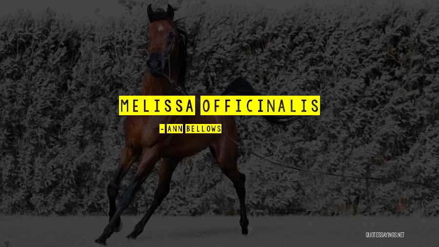 Alfonseca Six Quotes By Ann Bellows Alfonseca Six Quotes By Ann Bellows
