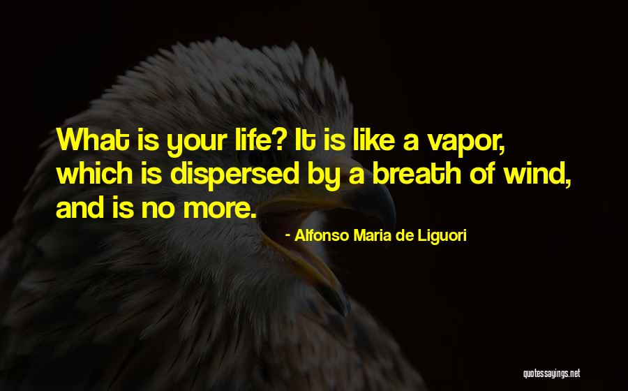 Alfonso Maria De Liguori Quotes 961637