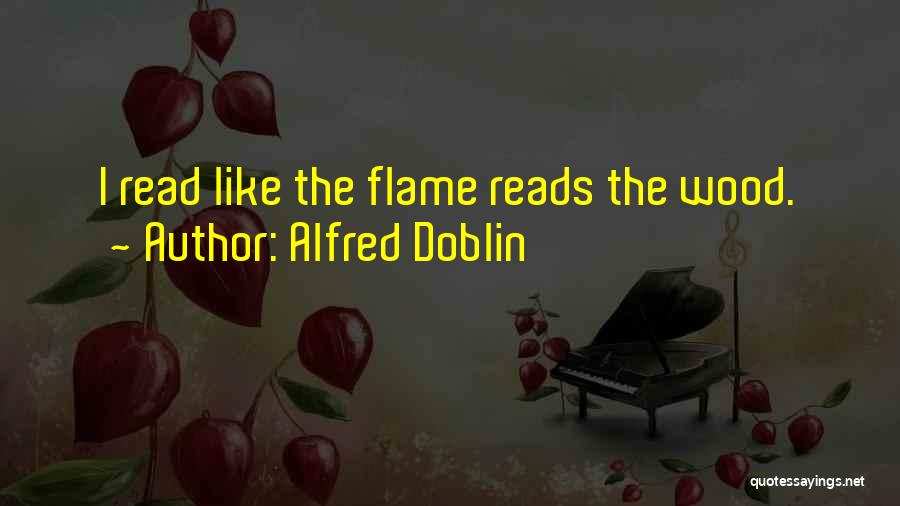 Alfred Doblin Quotes 2179624