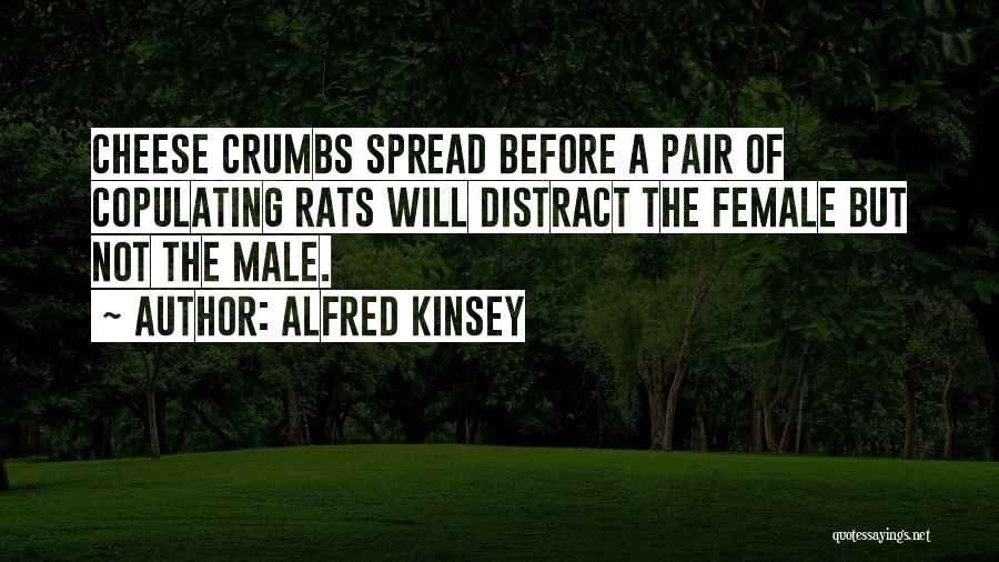 Alfred Kinsey Quotes 652024