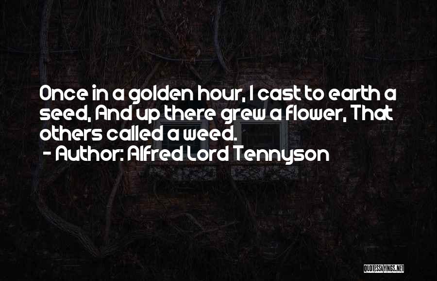 Alfred Lord Tennyson Flower Quotes By Alfred Lord Tennyson