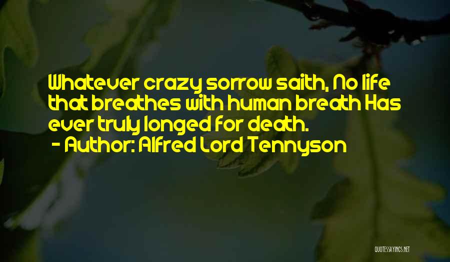 Alfred Lord Tennyson Quotes 1224221