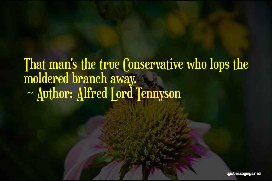 Alfred Lord Tennyson Quotes 1583385
