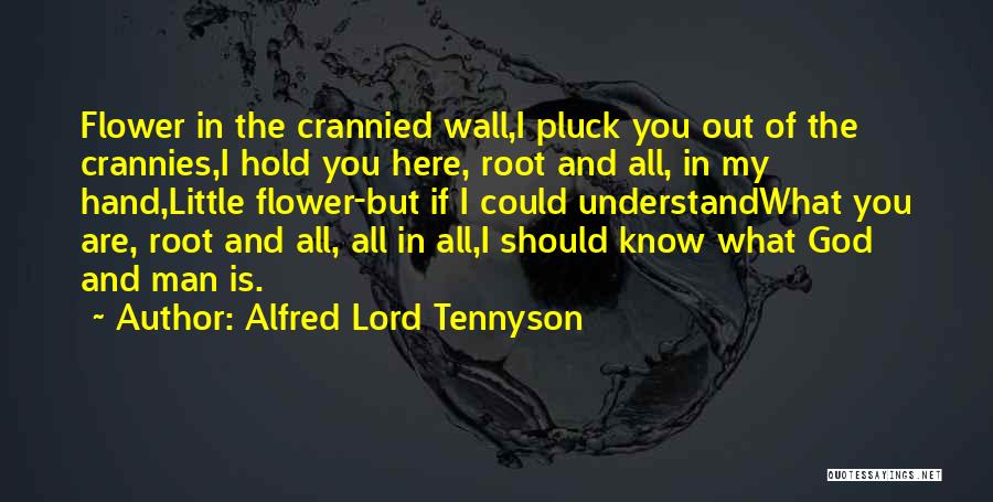 Alfred Lord Tennyson Quotes 2201189