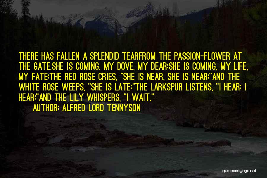 Alfred Lord Tennyson Quotes 344489