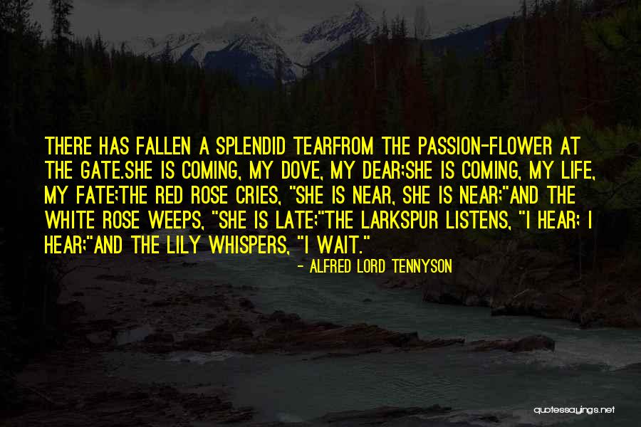 Alfred Lord Tennyson Quotes 344489