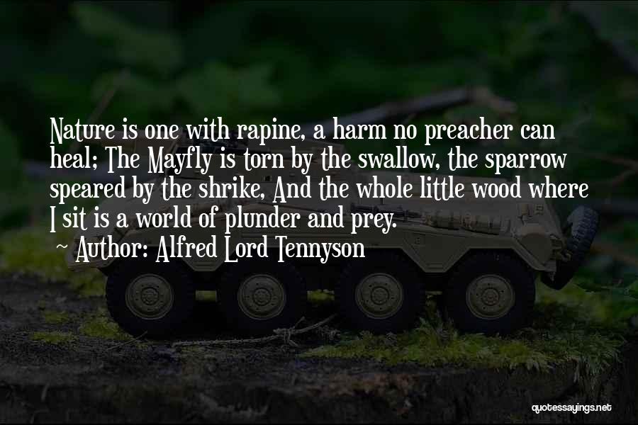 Alfred Lord Tennyson Quotes 811084